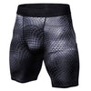 Quick Dry Compression Shorts