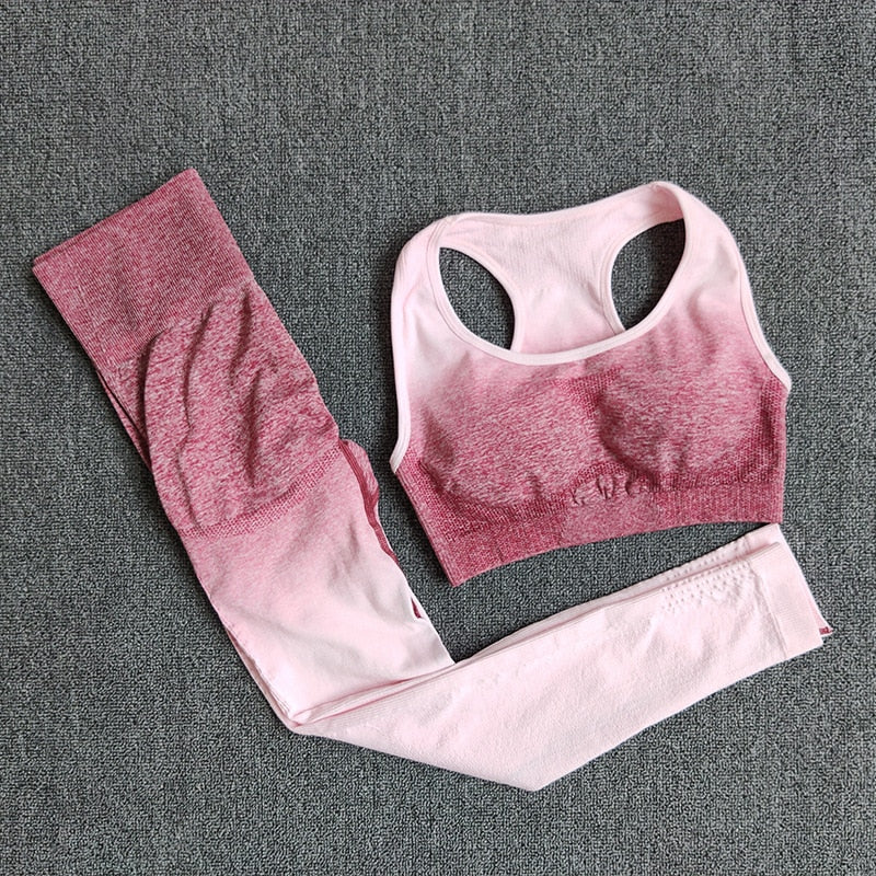 2 Pc Set Ombre Seamless Sports Bra + Yoga Pants