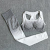 2 Pc Set Ombre Seamless Sports Bra + Yoga Pants