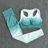 2 Pc Set Ombre Seamless Sports Bra + Yoga Pants