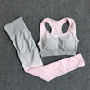 2 Pc Set Ombre Seamless Sports Bra + Yoga Pants