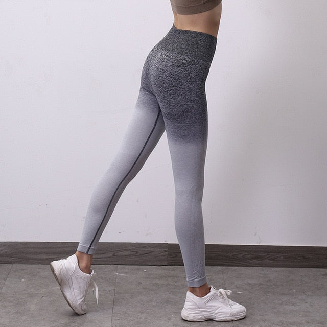 Ombre Seamless Yoga Pants