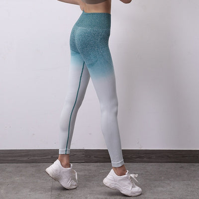 2 Pc Set Ombre Seamless Sports Bra + Yoga Pants