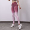 2 Pc Set Ombre Seamless Sports Bra + Yoga Pants