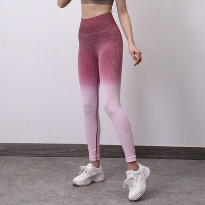 Ombre Seamless Yoga Pants