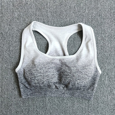 Ombre Seamless Sports Bra