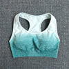 Ombre Seamless Sports Bra