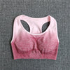 2 Pc Set Ombre Seamless Sports Bra + Yoga Pants