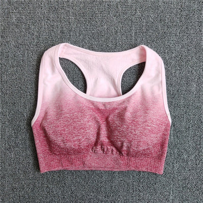 Ombre Seamless Sports Bra