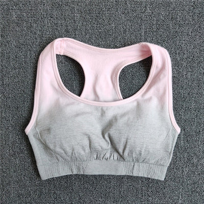 Ombre Seamless Sports Bra